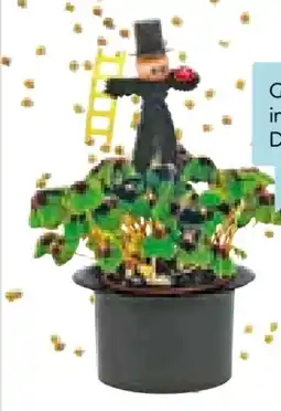 Hellweg Glücksklee Angebot