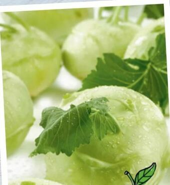 Spar Kohlrabi Angebot