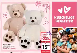 Maximarkt Plüsch-Bär Angebot
