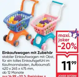 Maximarkt Einkaufswagen mit Zubehör Angebot