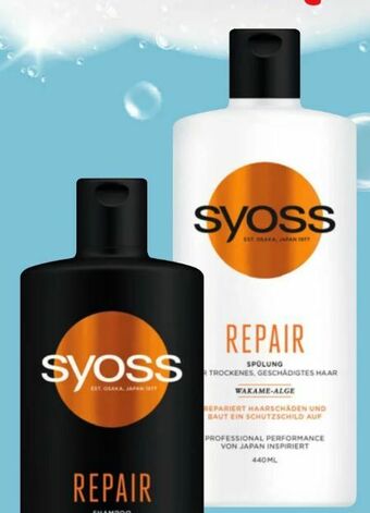 Eurospar Shampoo Angebot