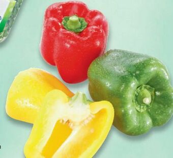 Metro Paprika Mix Angebot