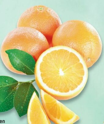 Metro Orangen Angebot