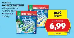 Hofer Blue Star WC-Beckensteine Angebot