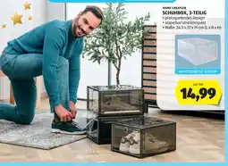 Hofer Home Creation Schuhboxen Angebot
