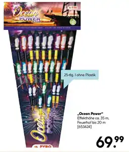 Hellweg Ocean Power Angebot