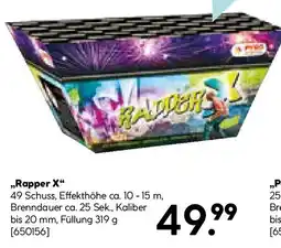 Hellweg Rapper X Angebot