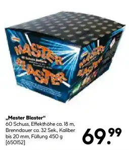 Hellweg Master Blaster Angebot