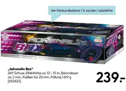 Hellweg Adrenalin Box Angebot