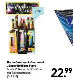 Hellweg Bodenfeuerwerk-Sortiment Super Brilliant Stars Angebot