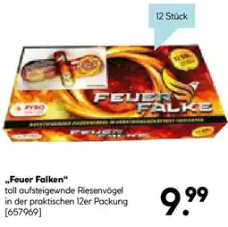 Hellweg Feuer Falken Angebot