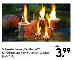 Hellweg Schwedenfeuer Ecoflame Angebot