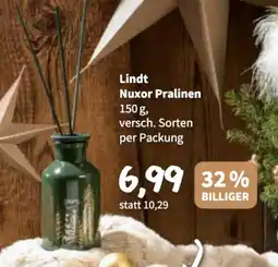 Der Grissemann Lindt Nuxor Pralinen Angebot