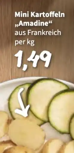 Der Grissemann Mini kartoffeln amadine Angebot