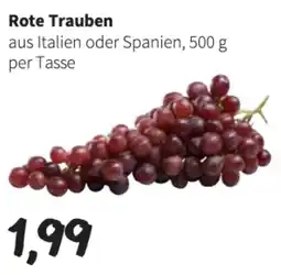 Der Grissemann Rote Trauben Angebot