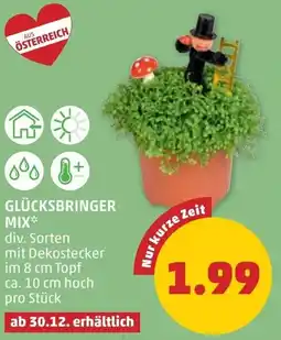 PENNY Glücksbringer mix Angebot