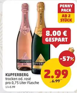 PENNY Kupferberg Angebot
