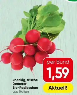 Spar knackig, frische Demeter Bio-Radieschen Angebot