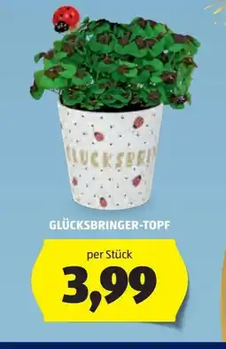 Hofer Glücksbringer-topf Angebot