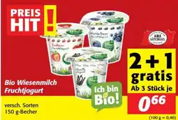 Nah&Frisch Bio Wiesenmilch Fruchtjogurt Angebot