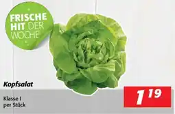 Nah&Frisch Kopfsalat Angebot