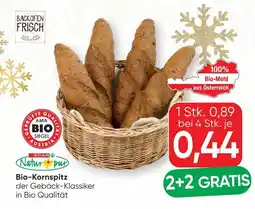 SPAR Gourmet Bio-Kornspitz Angebot