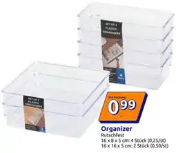 Action Organizer Rutschfest Angebot