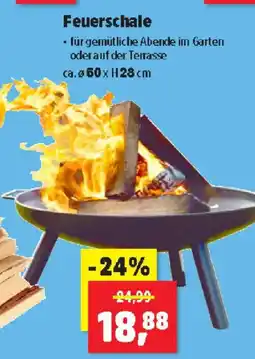 Thomas Philipps Feuerschale Angebot