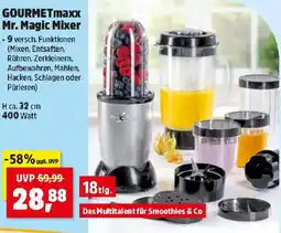 Thomas Philipps GOURMETmaxx Mr. Magic Mixer Angebot