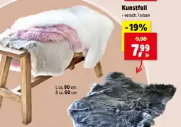 Thomas Philipps Kunstfell Angebot