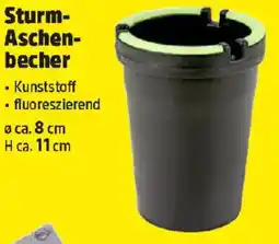 Thomas Philipps Sturm- Aschen- becher Angebot