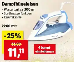 Thomas Philipps Dampfbügeleisen Angebot