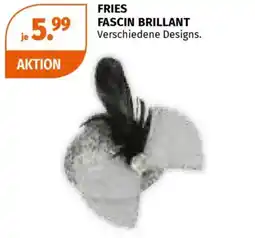Müller Fries fascin brillant Angebot