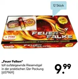 Hellweg Feuer Falken Angebot