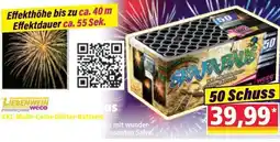 Norma XXL-Multi-Color-Glitter-Batterie Angebot