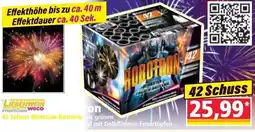 Norma 42 Schuss Blinkstar-Batterie mit grünen Angebot