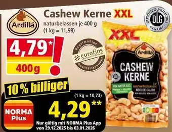 Norma Cashew Kerne XXL Angebot