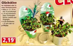 Norma Glücksklee Angebot