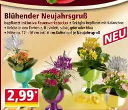 Norma Blühender Neujahrsgruẞ Angebot