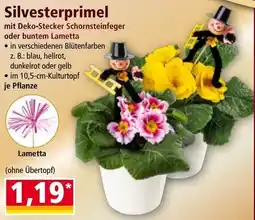 Norma Silvesterprimel Angebot
