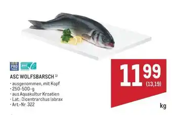 ASC WOLFSBARSCH
