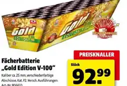 Hagebau Fächerbatterie gold edition v-100 Angebot