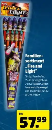 Hagebau Familien- sortiment fire and light Angebot