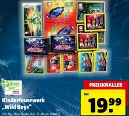 Hagebau Kinderfeuerwerk wild boys Angebot