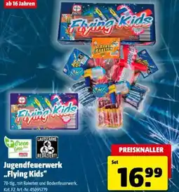 Hagebau Jugendfeuerwerk flying kids Angebot