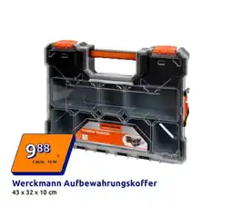 Action Werckmann aufbewahrungskoffer Angebot