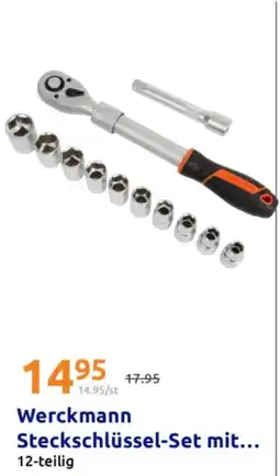 Action Werckmann steckschlüsse set mit Angebot