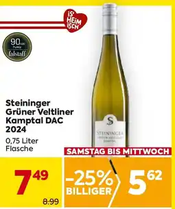 Billa Steininger Grüner Veltliner Kamptal DAC 2024 Angebot