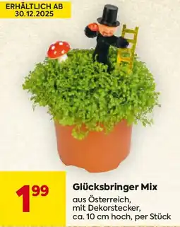 Billa Glücksbringer Mix aus Österreich Angebot