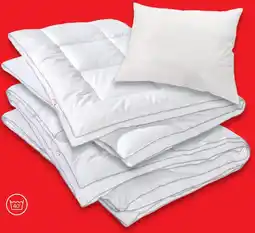 Matratzen Concord Serie Cotton Angebot